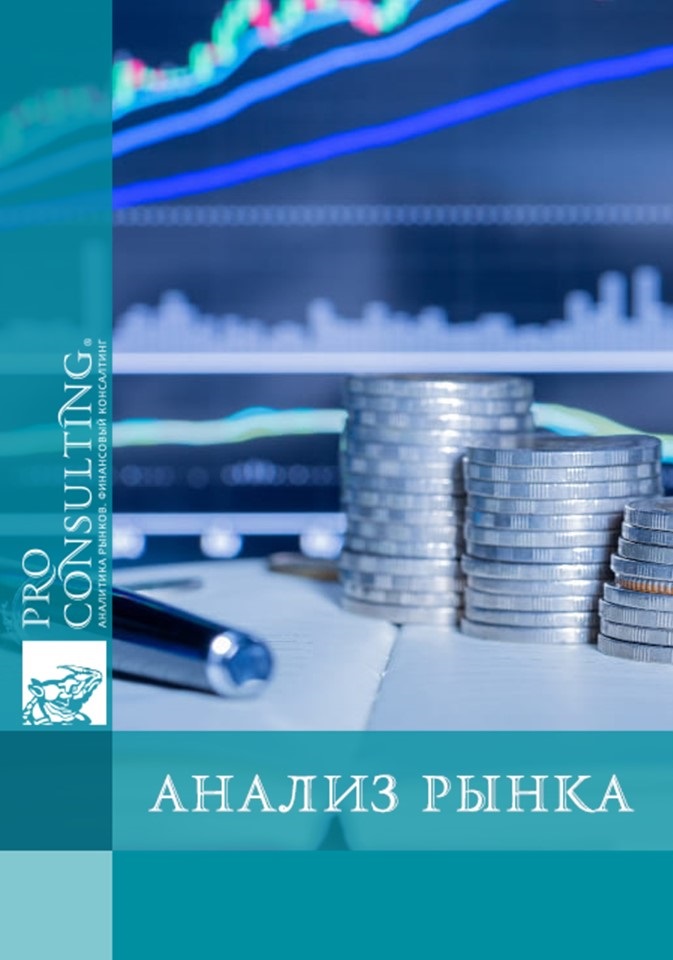 Отраслевое исследование экономического развития города Каменец-Подольский. 2025 год